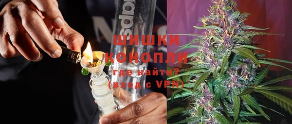 молекула духа Белоозёрский
