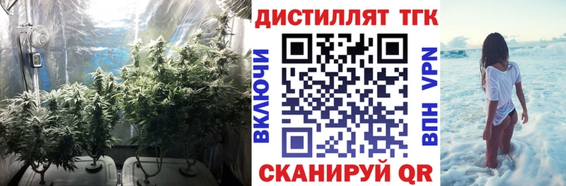 ТГК вейп с тгк продажа наркотиков Дигора